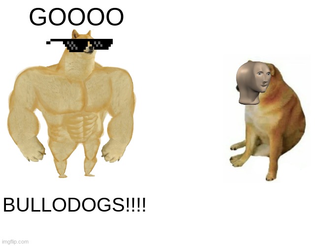 go bulldogsss | GOOOO; BULLODOGS!!!! | image tagged in memes,buff doge vs cheems,bulldog,doge,pets,funny memes | made w/ Imgflip meme maker