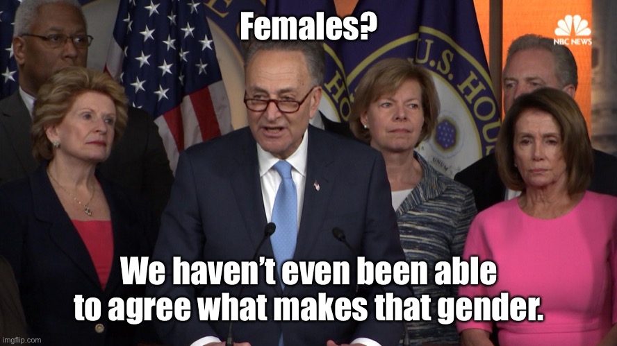 Democrat congressmen | Females? We haven’t even been able to agree what makes that gender. | image tagged in democrat congressmen | made w/ Imgflip meme maker