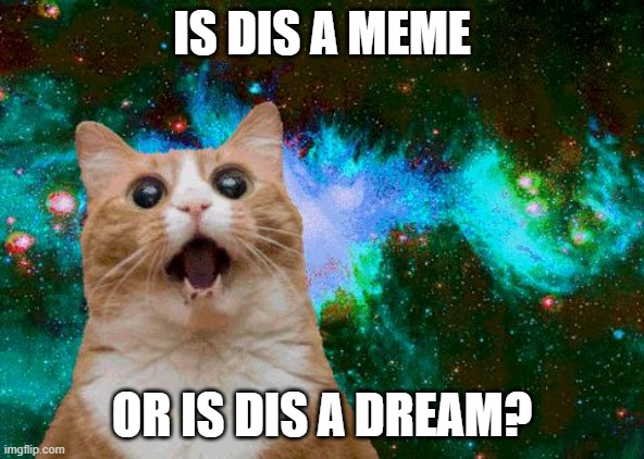 lsd brownies | IS DIS A MEME OR IS DIS A DREAM? | image tagged in lsd brownies | made w/ Imgflip meme maker