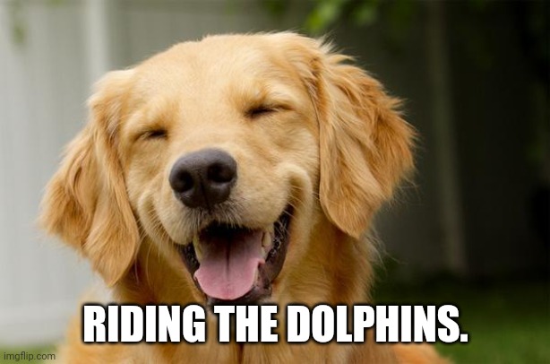 Happy Dog | RIDING THE DOLPHINS. | image tagged in happy dog | made w/ Imgflip meme maker