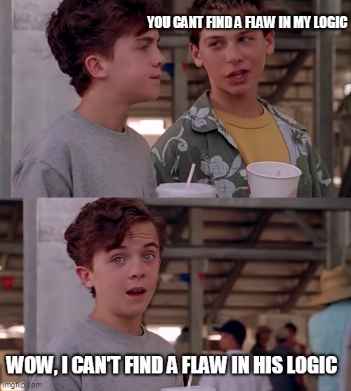 Wow, I Can't Find A Flaw In His Logic | YOU CANT FIND A FLAW IN MY LOGIC; WOW, I CAN'T FIND A FLAW IN HIS LOGIC | image tagged in wow i can't find a flaw in his logic | made w/ Imgflip meme maker