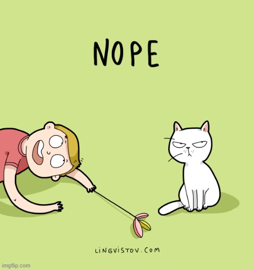 A Cat's Way Of Thinking | image tagged in memes,comics,cats,come on,play,nope | made w/ Imgflip meme maker