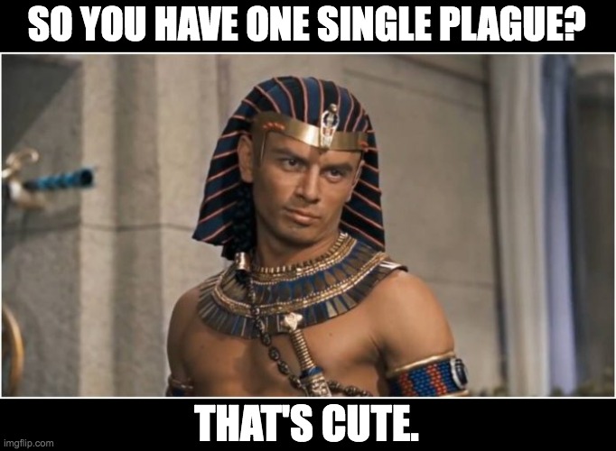 The pandemic | SO YOU HAVE ONE SINGLE PLAGUE? THAT'S CUTE. | image tagged in yul brynner as pharaoh ramesses | made w/ Imgflip meme maker