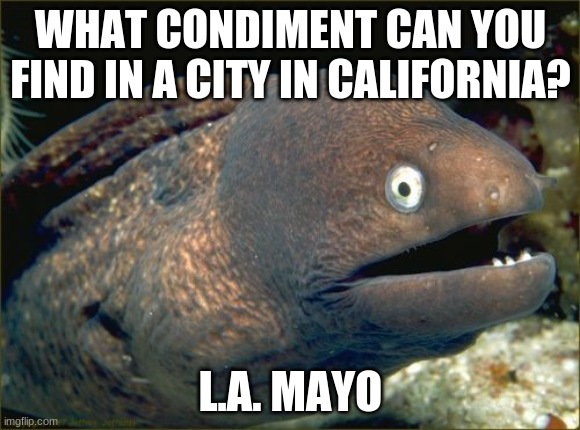 I doubt if any vegans will find this funny. | WHAT CONDIMENT CAN YOU FIND IN A CITY IN CALIFORNIA? L.A. MAYO | image tagged in memes,bad joke eel,mayonnaise,mayo,california,lol | made w/ Imgflip meme maker