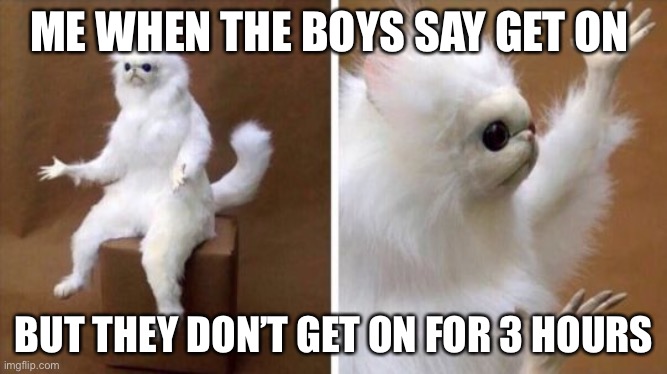 Wtf Cat | ME WHEN THE BOYS SAY GET ON; BUT THEY DON’T GET ON FOR 3 HOURS | image tagged in wtf cat | made w/ Imgflip meme maker