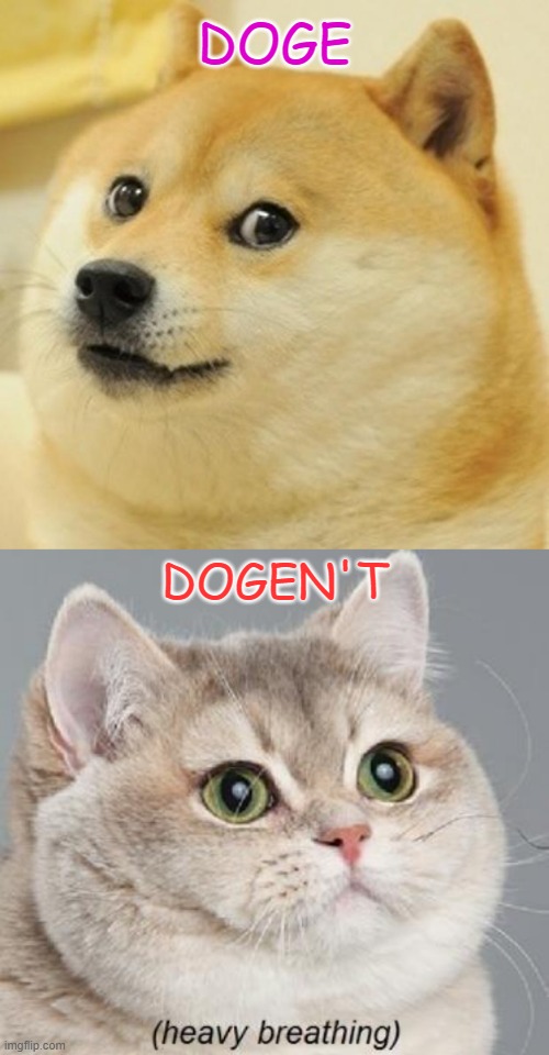 Who do you support? | DOGE; DOGEN'T | image tagged in memes,doge,heavy breathing cat | made w/ Imgflip meme maker