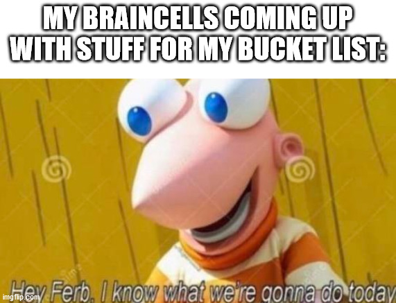 Hey Ferb | MY BRAINCELLS COMING UP WITH STUFF FOR MY BUCKET LIST: | image tagged in hey ferb | made w/ Imgflip meme maker