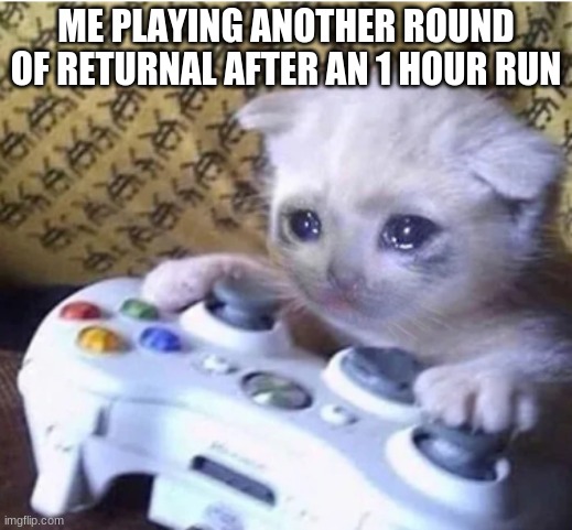 Sad gaming cat | ME PLAYING ANOTHER ROUND OF RETURNAL AFTER AN 1 HOUR RUN | image tagged in sad gaming cat | made w/ Imgflip meme maker