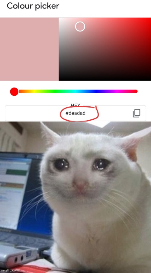 Sad | image tagged in crying cat | made w/ Imgflip meme maker