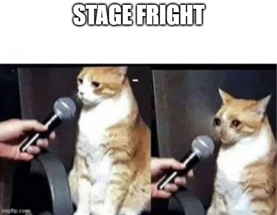 Crying Cat Interview Horizontal | STAGE FRIGHT | image tagged in crying cat interview horizontal | made w/ Imgflip meme maker