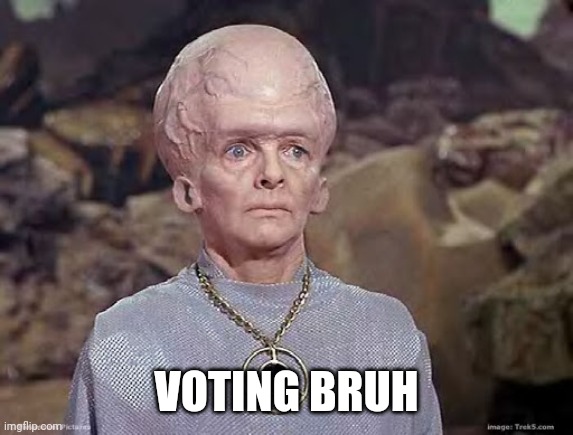 Big brain | VOTING BRUH | image tagged in big brain | made w/ Imgflip meme maker