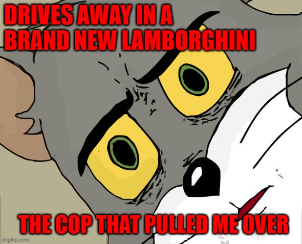 Have a Good Day Sir | DRIVES AWAY IN A BRAND NEW LAMBORGHINI; THE COP THAT PULLED ME OVER | image tagged in memes,unsettled tom,funny,funny memes | made w/ Imgflip meme maker