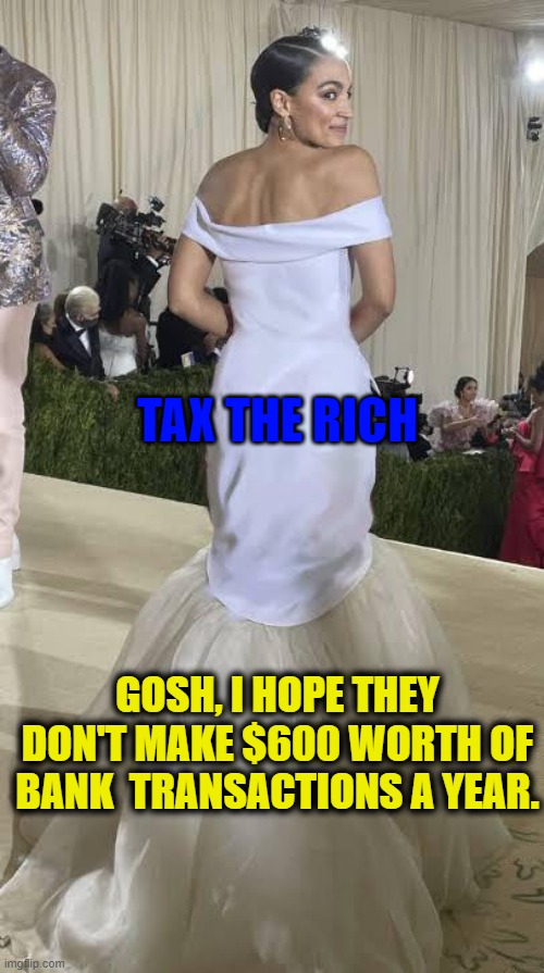 AOC Tax the rich | TAX THE RICH; GOSH, I HOPE THEY DON'T MAKE $600 WORTH OF BANK  TRANSACTIONS A YEAR. | image tagged in aoc tax the rich,grocery store,gas prices,christmas goose | made w/ Imgflip meme maker