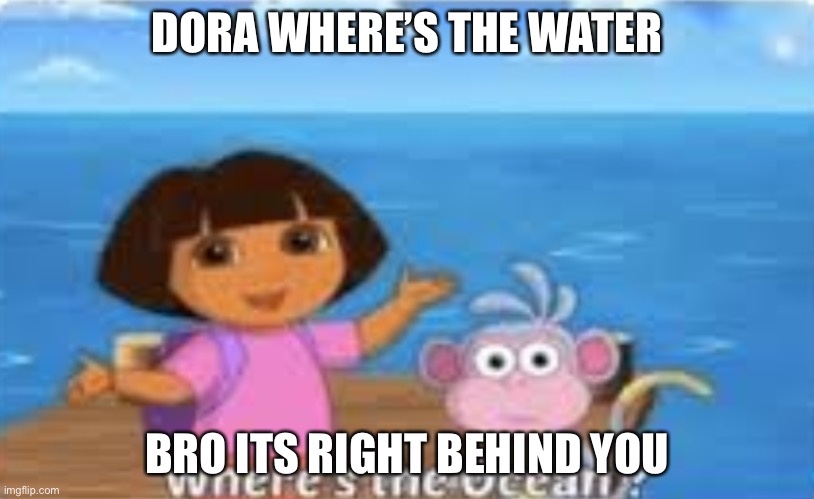Dora DumDum | DORA WHERE’S THE WATER; BRO ITS RIGHT BEHIND YOU | image tagged in dora dumdum | made w/ Imgflip meme maker