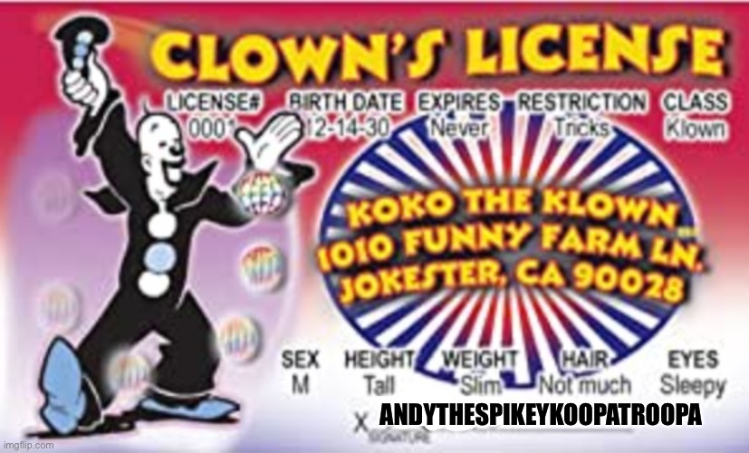 Clown drivers license | ANDYTHESPIKEYKOOPATROOPA | image tagged in clown drivers license | made w/ Imgflip meme maker