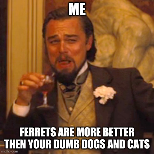 its true | ME; FERRETS ARE MORE BETTER THEN YOUR DUMB DOGS AND CATS | image tagged in memes,laughing leo | made w/ Imgflip meme maker