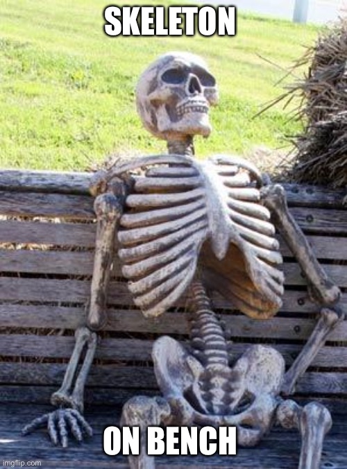 Waiting Skeleton Meme | SKELETON; ON BENCH | image tagged in memes,waiting skeleton | made w/ Imgflip meme maker