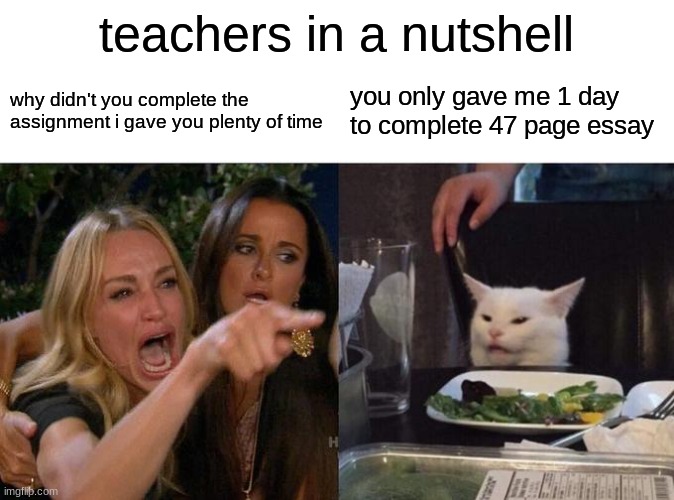 free epic caigua | teachers in a nutshell; why didn't you complete the assignment i gave you plenty of time; you only gave me 1 day to complete 47 page essay | image tagged in memes,woman yelling at cat | made w/ Imgflip meme maker