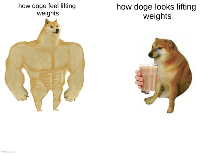 do u even lift | how doge feel lifting 
weights; how doge looks lifting 
weights | image tagged in memes,buff doge vs cheems,do you even lift | made w/ Imgflip meme maker