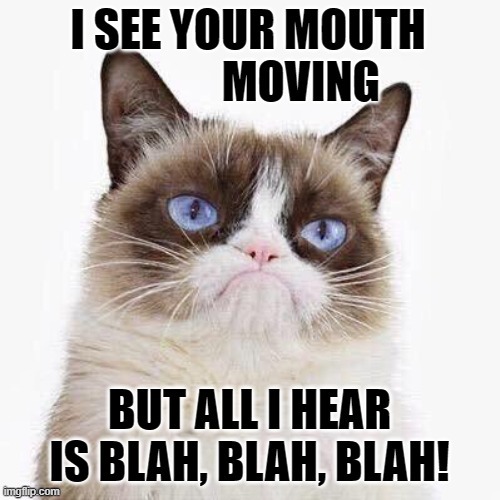 Grumpy Cat | image tagged in memes,cats,grumpy cat,mouth,moving,blah blah blah | made w/ Imgflip meme maker