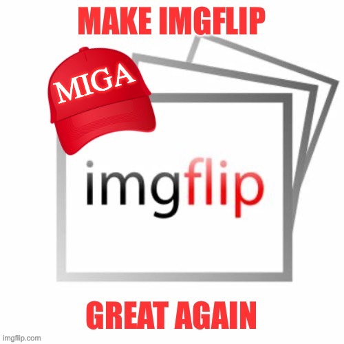 Vote IncognitoGuy for President, Firestar for VP, Pollard for Congress, and Hermit_Craftin for Senate! | MIGA | image tagged in memes,politics,election,campaign,make america great again,donald trump | made w/ Imgflip meme maker