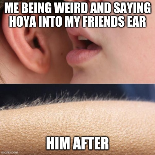 Whisper and Goosebumps | ME BEING WEIRD AND SAYING HOYA INTO MY FRIENDS EAR; HIM AFTER | image tagged in whisper and goosebumps | made w/ Imgflip meme maker