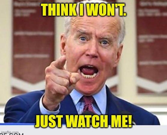 Joe Biden no malarkey | THINK I WON'T. JUST WATCH ME! | image tagged in joe biden no malarkey | made w/ Imgflip meme maker