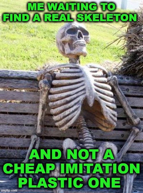 Good things come to those who wait | ME WAITING TO FIND A REAL SKELETON; AND NOT A CHEAP IMITATION PLASTIC ONE | image tagged in memes,waiting skeleton,halloween,october | made w/ Imgflip meme maker