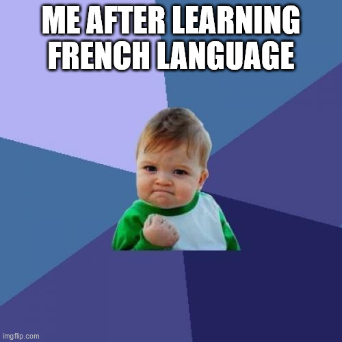 Success Kid | ME AFTER LEARNING FRENCH LANGUAGE | image tagged in memes,success kid | made w/ Imgflip meme maker