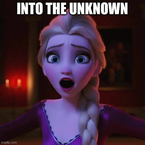 Into the Unknown | INTO THE UNKNOWN | image tagged in into the unknown | made w/ Imgflip meme maker