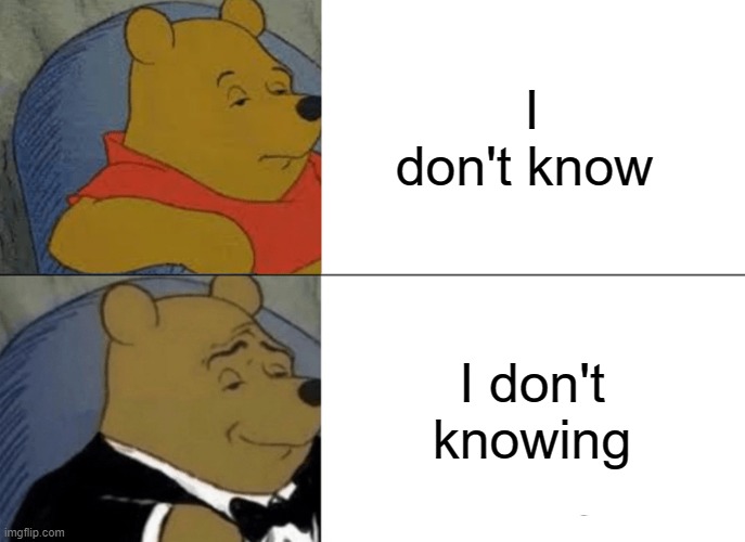 Tuxedo Winnie The Pooh | I don't know; I don't knowing | image tagged in memes,tuxedo winnie the pooh | made w/ Imgflip meme maker