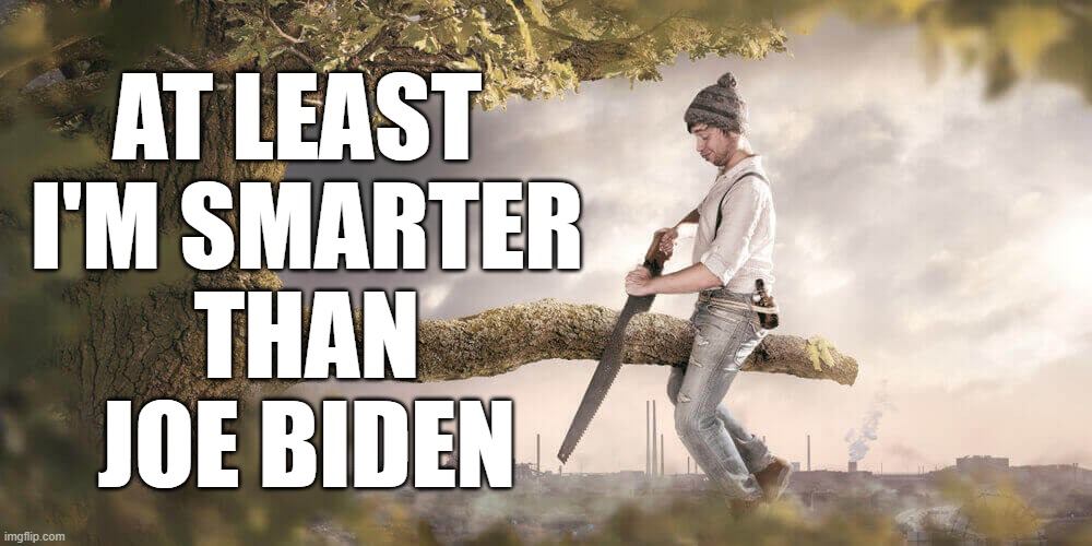 God help us all | AT LEAST 
I'M SMARTER
THAN
JOE BIDEN | image tagged in joe biden,stupid,memes | made w/ Imgflip meme maker