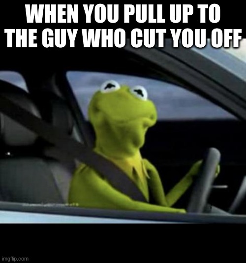 yo this meme is funny | WHEN YOU PULL UP TO THE GUY WHO CUT YOU OFF | image tagged in kermit driving | made w/ Imgflip meme maker
