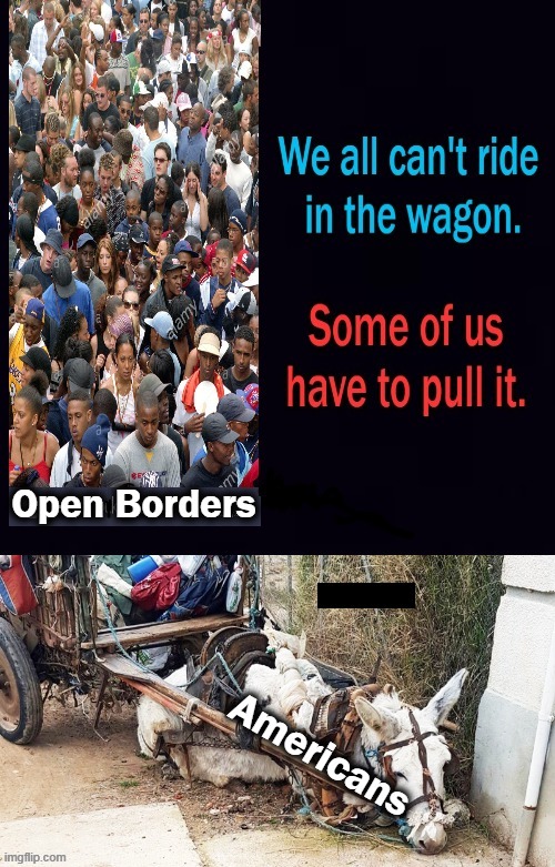 Chaotic Influx is Not Immigration & Americans Will Suffer the Consequences | image tagged in politics,democratic socialism,joe biden,open borders,fiscal responsibility,americans | made w/ Imgflip meme maker