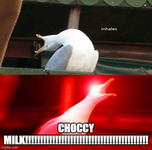Inhaling Seagull  | CHOCCY MILK!!!!!!!!!!!!!!!!!!!!!!!!!!!!!!!!!!!!!!!!! | image tagged in inhaling seagull | made w/ Imgflip meme maker