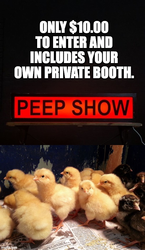 Peep | ONLY $10.00 TO ENTER AND INCLUDES YOUR OWN PRIVATE BOOTH. | image tagged in bad pun | made w/ Imgflip meme maker