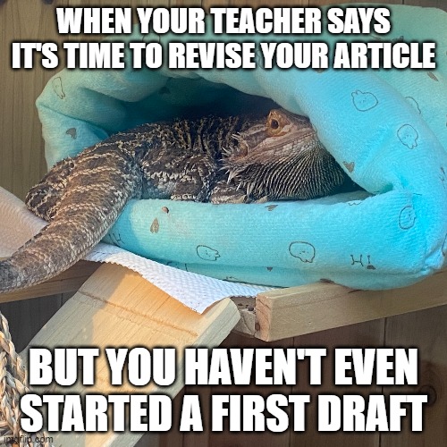 Not Ready For Assignment | WHEN YOUR TEACHER SAYS IT'S TIME TO REVISE YOUR ARTICLE; BUT YOU HAVEN'T EVEN STARTED A FIRST DRAFT | image tagged in school,education | made w/ Imgflip meme maker