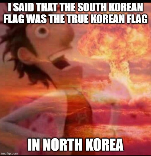 MushroomCloudy | I SAID THAT THE SOUTH KOREAN FLAG WAS THE TRUE KOREAN FLAG; IN NORTH KOREA | image tagged in mushroomcloudy | made w/ Imgflip meme maker