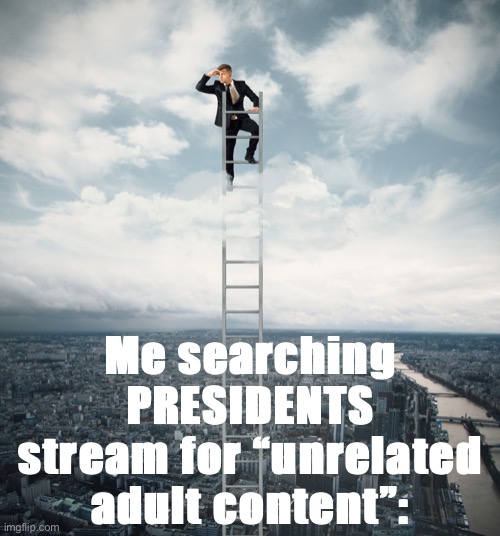 I want examples of exactly what content this new bill is trying to ban. Otherwise, this is a solution in search of a problem. | Me searching PRESIDENTS stream for “unrelated adult content”: | image tagged in searching,aup,rup,free speech,nsfw,freedom of speech | made w/ Imgflip meme maker