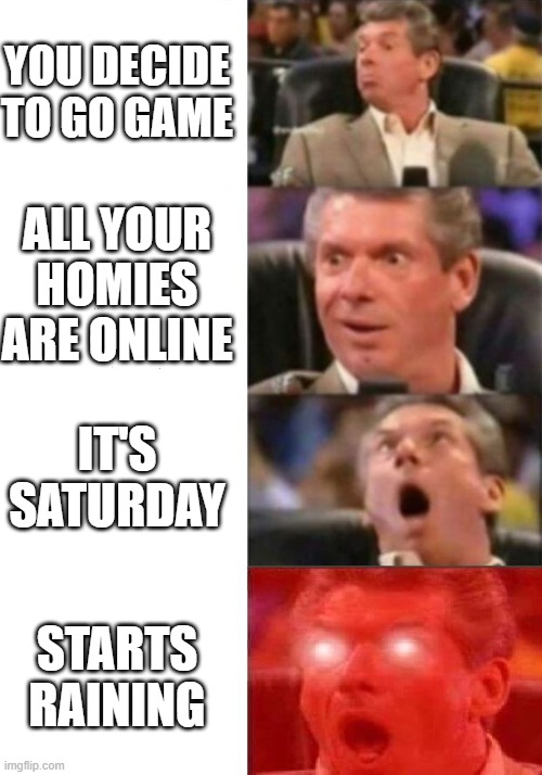 I love these type of saturdays | YOU DECIDE TO GO GAME; ALL YOUR HOMIES ARE ONLINE; IT'S SATURDAY; STARTS RAINING | image tagged in mr mcmahon reaction | made w/ Imgflip meme maker