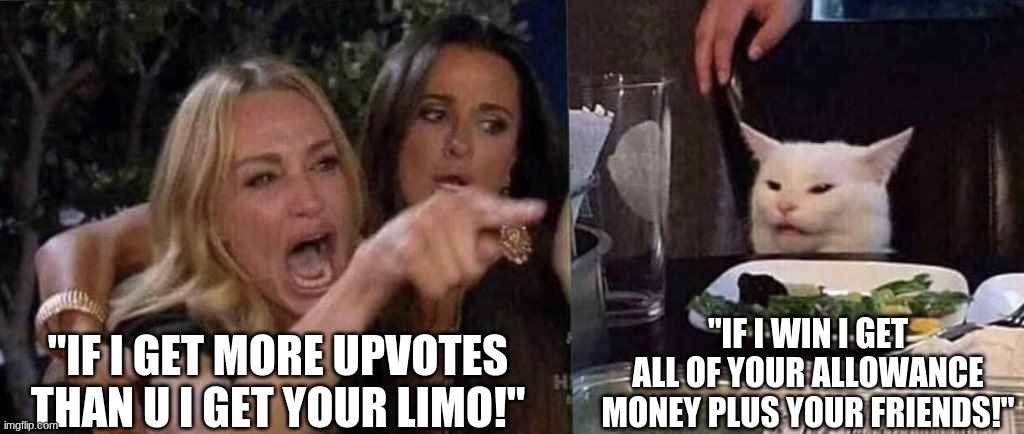 woman yelling at cat | "IF I GET MORE UPVOTES THAN U I GET YOUR LIMO!"; "IF I WIN I GET ALL OF YOUR ALLOWANCE MONEY PLUS YOUR FRIENDS!" | image tagged in woman yelling at cat | made w/ Imgflip meme maker