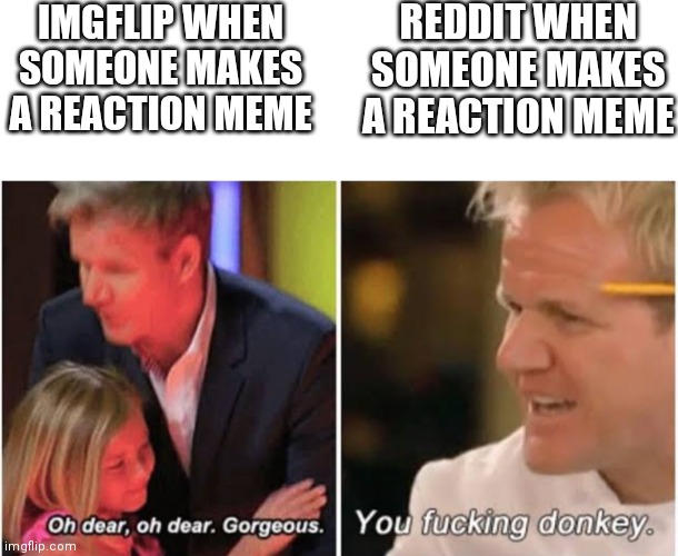 Why do they hate them so much | IMGFLIP WHEN SOMEONE MAKES A REACTION MEME; REDDIT WHEN SOMEONE MAKES A REACTION MEME | image tagged in blank white template,gordon ramsay kids vs adults | made w/ Imgflip meme maker