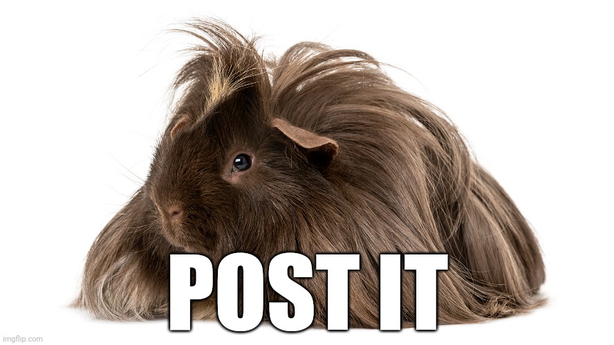 POST IT | made w/ Imgflip meme maker