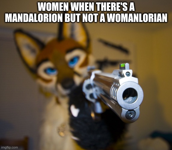 IRL | WOMEN WHEN THERE'S A MANDALORION BUT NOT A WOMANLORIAN | image tagged in furry with gun | made w/ Imgflip meme maker