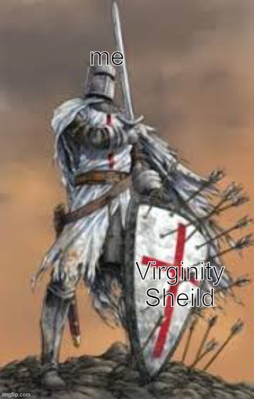 Holy Crusader w/ sheild | me Virginity Sheild | image tagged in holy crusader w/ sheild | made w/ Imgflip meme maker