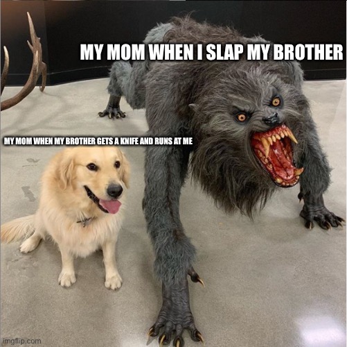 My mom when… | MY MOM WHEN I SLAP MY BROTHER; MY MOM WHEN MY BROTHER GETS A KNIFE AND RUNS AT ME | image tagged in dog vs wolf | made w/ Imgflip meme maker