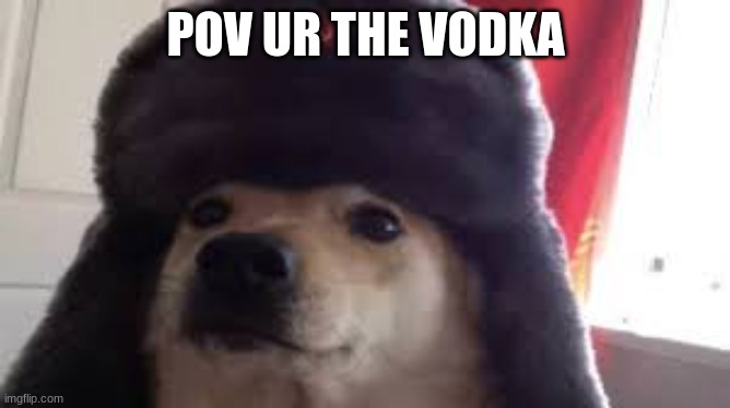 POV | POV UR THE VODKA | image tagged in vodka  memes,pog | made w/ Imgflip meme maker