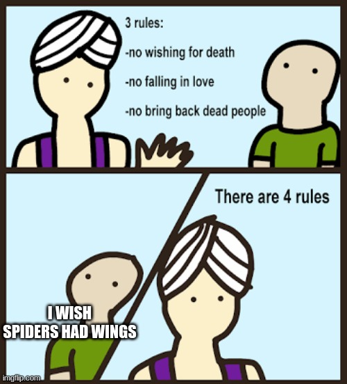 deez | I WISH SPIDERS HAD WINGS | image tagged in there are 3 rules | made w/ Imgflip meme maker