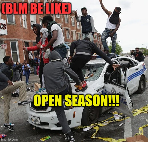 BLM | OPEN SEASON!!! (BLM BE LIKE) | image tagged in blm | made w/ Imgflip meme maker