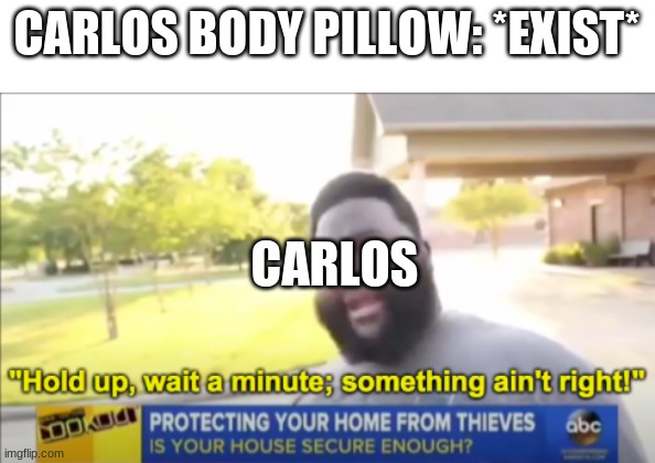 Hold up wait a minute something aint right | CARLOS BODY PILLOW: *EXIST*; CARLOS | image tagged in hold up wait a minute something aint right | made w/ Imgflip meme maker